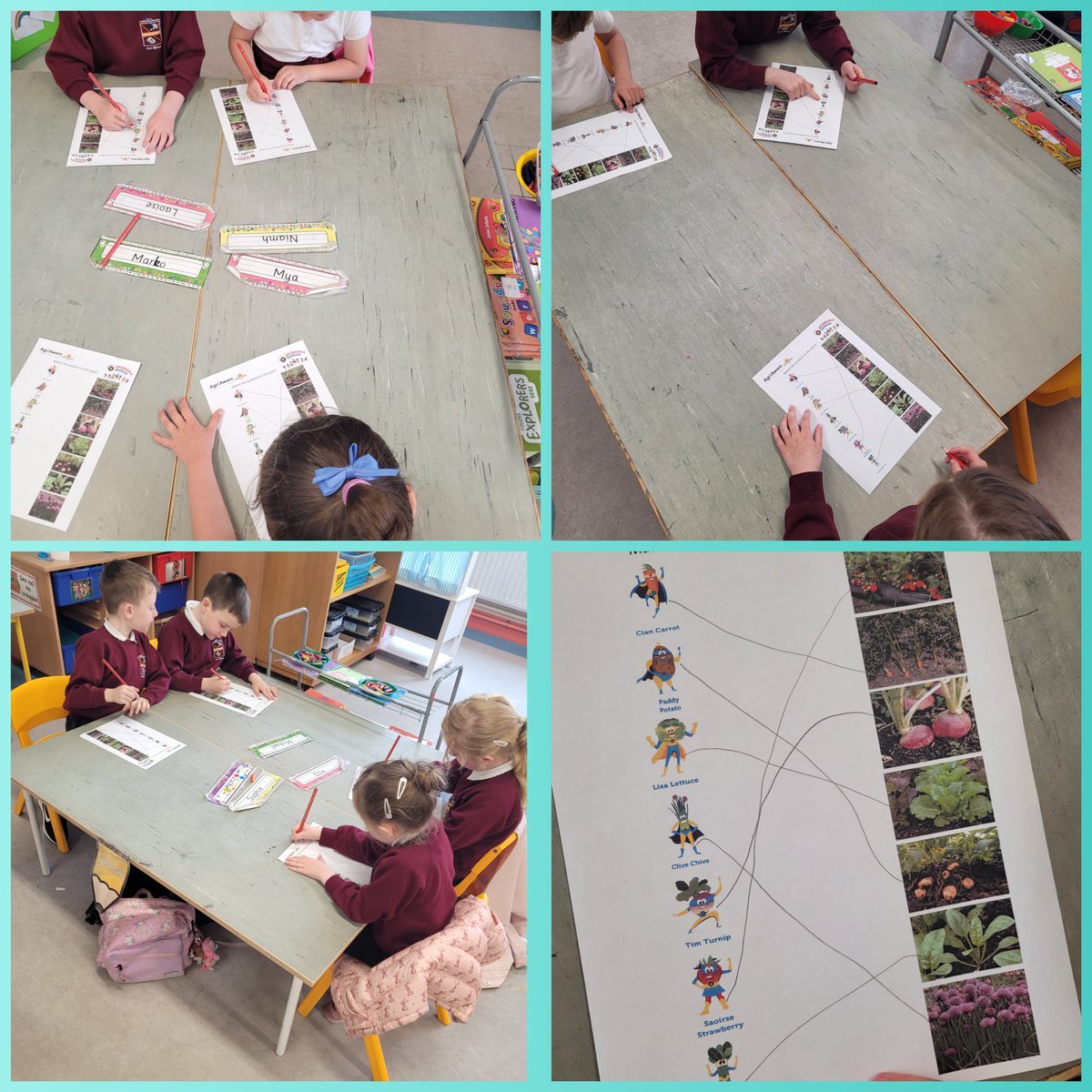 MsJoycesClass's tweet photo. We could identify all our Incredible Edible Superheroes 🥔🥕🍓🦸‍♂️🦸‍♀️ @AineMcGrath2 @AgriAware @kinvarans https://t.co/VJGOfd5Zg1