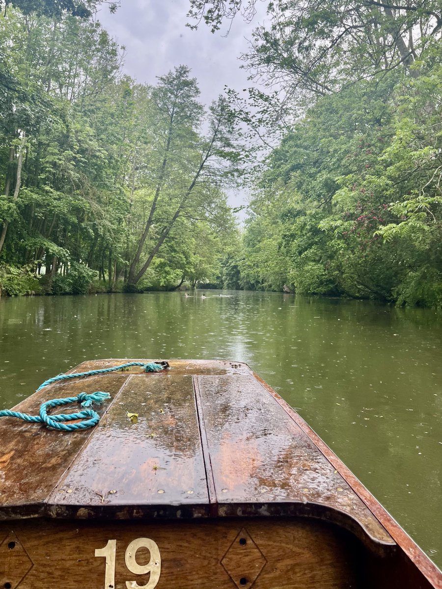 Rebecca O'Brien PhD tweet media