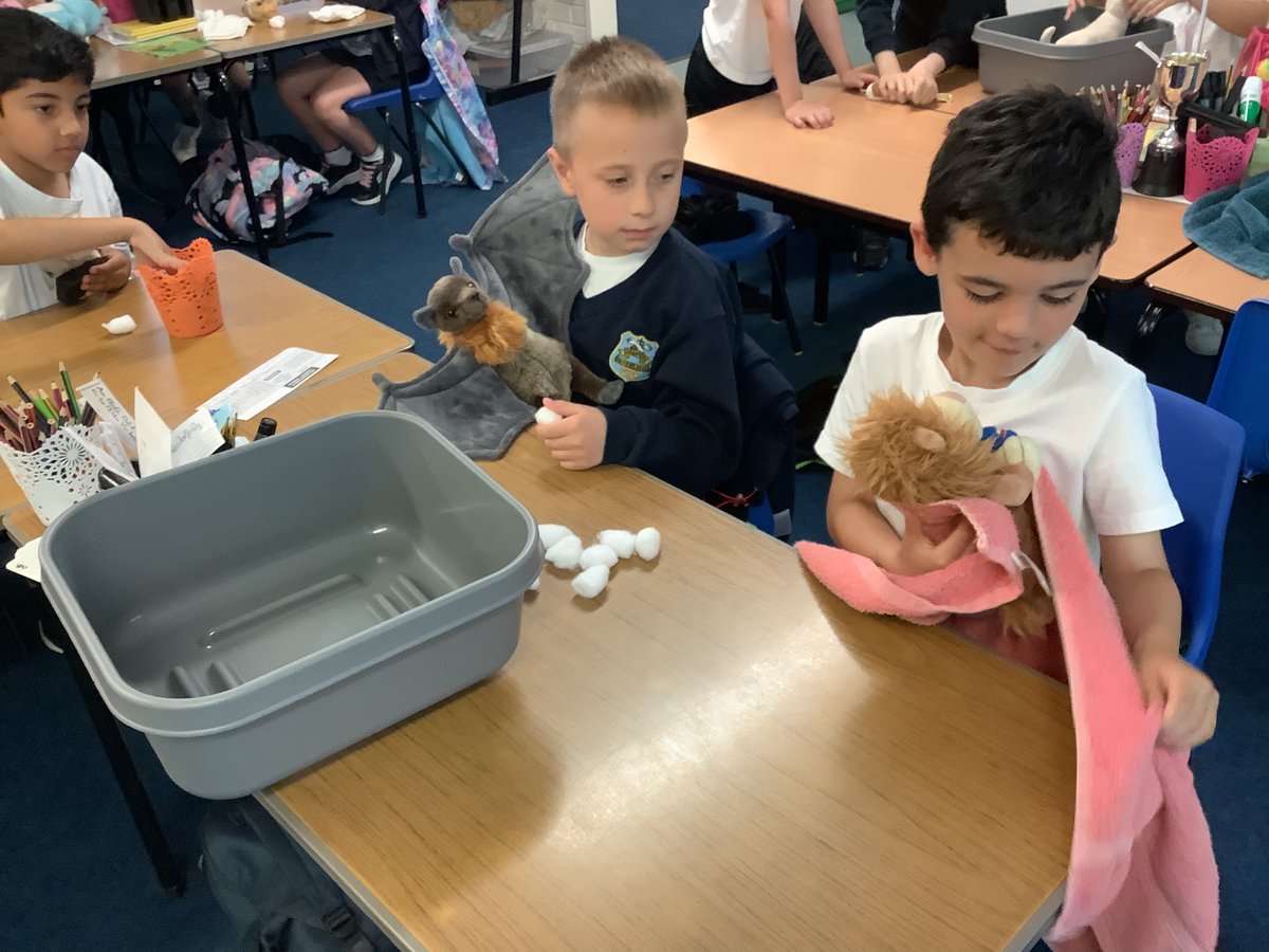 LittleStFrancis's tweet photo. Thank you to Miss Peters, a midwife, who came into school to speak to Year 2 about her #Vocation. We learnt how to do a top to toe check on our babies and give them their first bath! #WhatisGodCallingYouToBe #MyVocation #VocationWeek @BCPP__ @BhamDES @RCBirmingham https://t.co/Zwyh4tUAuy