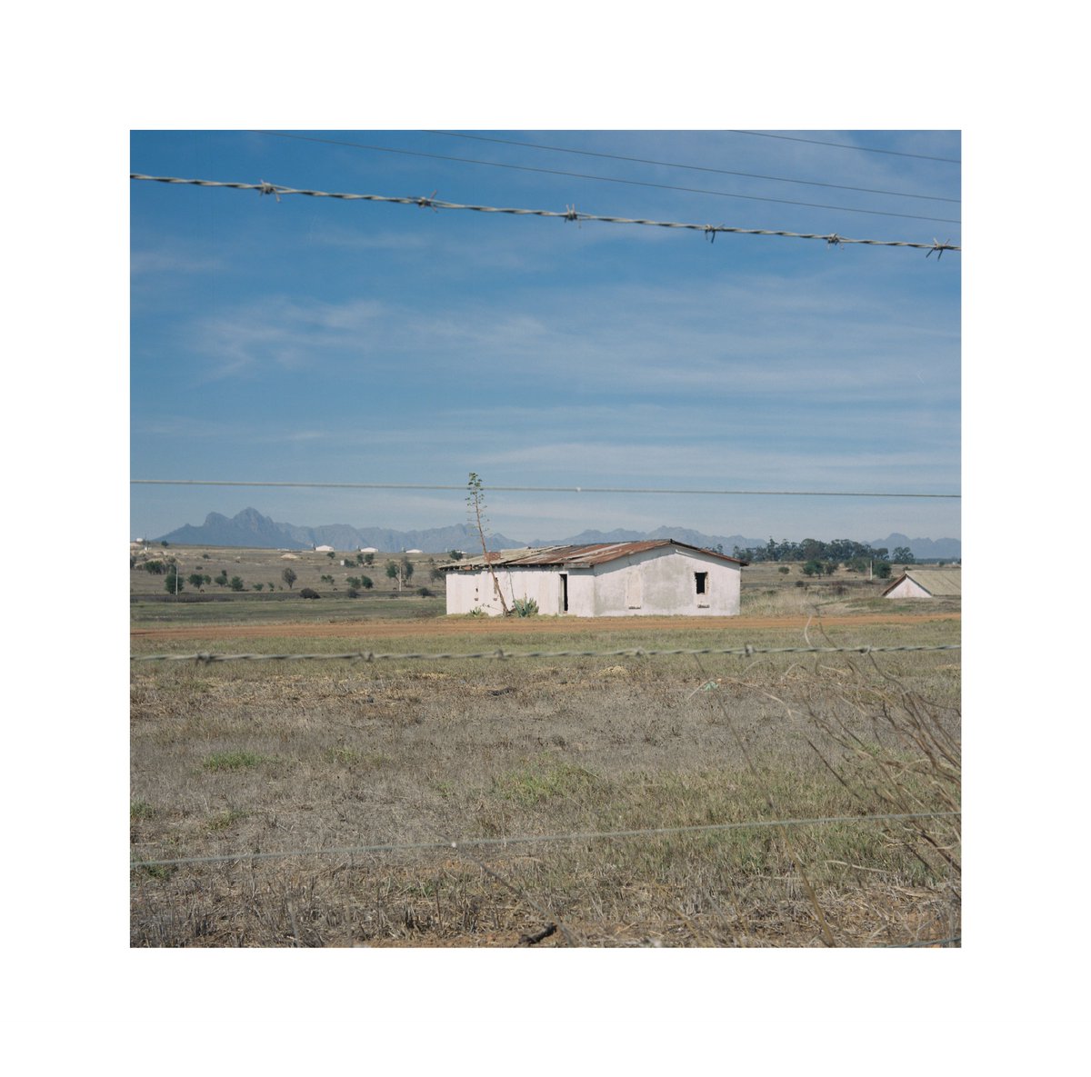 Boredlikehell's tweet photo. Yashicaflex Model A 
Twin Lens Reflex Camera
120 Kodak Portra 400
Developed and Scanned by @OrmsDirect https://t.co/H4bPSXZJ7q