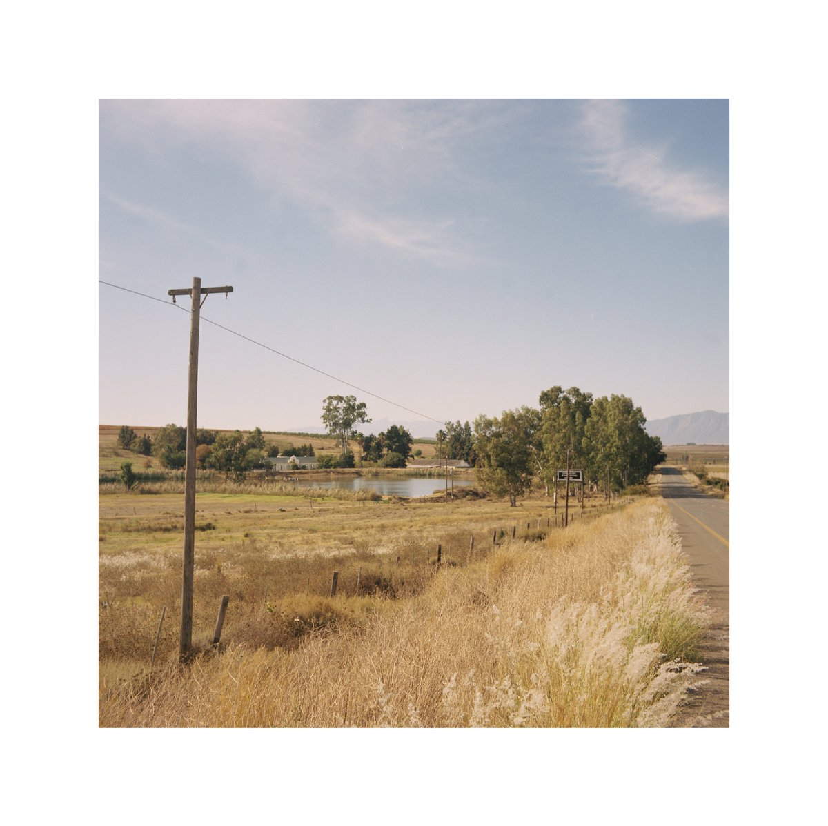 Boredlikehell's tweet photo. Yashicaflex Model A 
Twin Lens Reflex Camera
120 Kodak Portra 400
Developed and Scanned by @OrmsDirect https://t.co/nHBcSoRle6