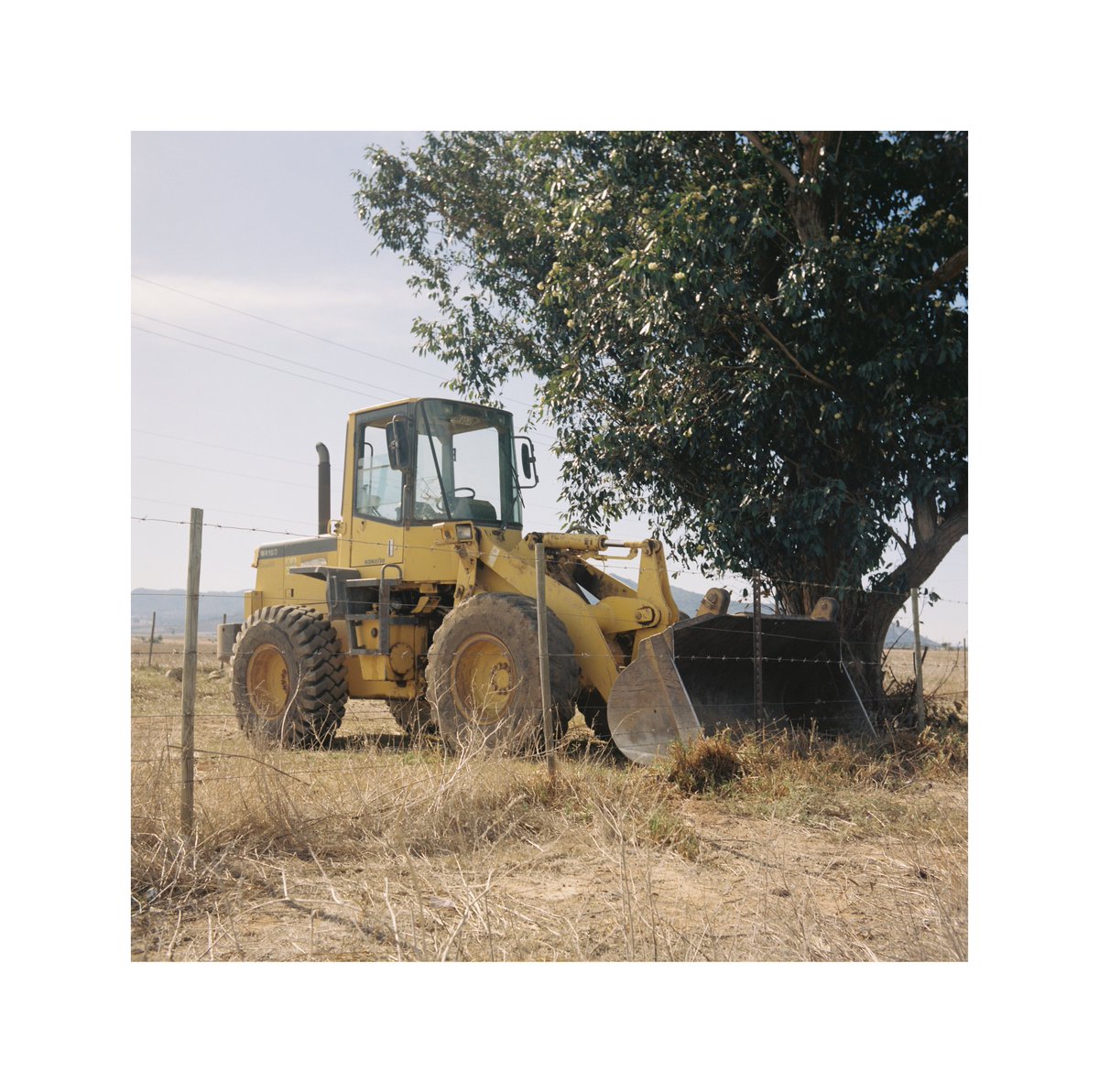 Boredlikehell's tweet photo. Yashicaflex Model A 
Twin Lens Reflex Camera
120 Kodak Portra 400
Developed and Scanned by @OrmsDirect https://t.co/nHBcSoRle6