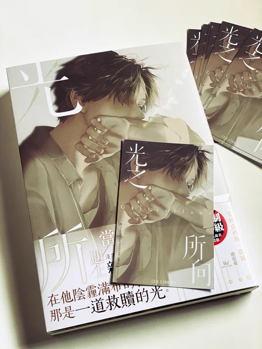 ▼お知らせ
装画を担当させていただいた小説「光之所向」の献本が届きました。台湾の出版社様から発売されます。 