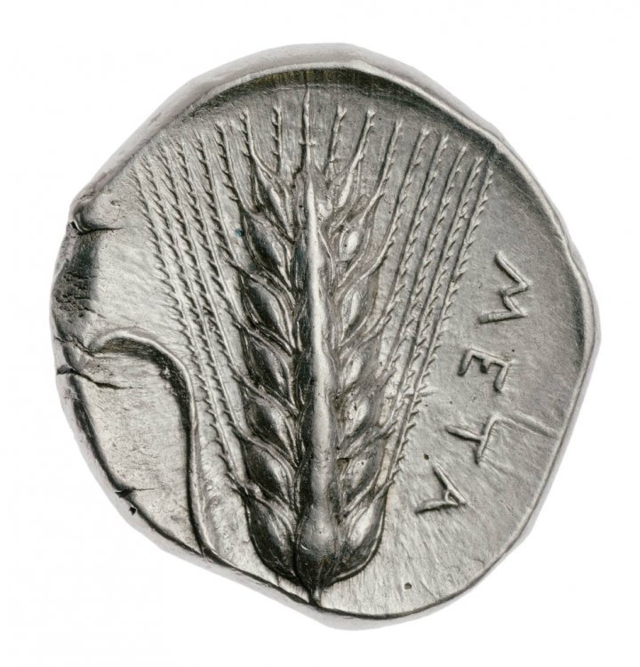 Tra Metaponto ed Eraclea: Aristosseno bit.ly/3lg9ya2 #numismatica #monete #collezionismo