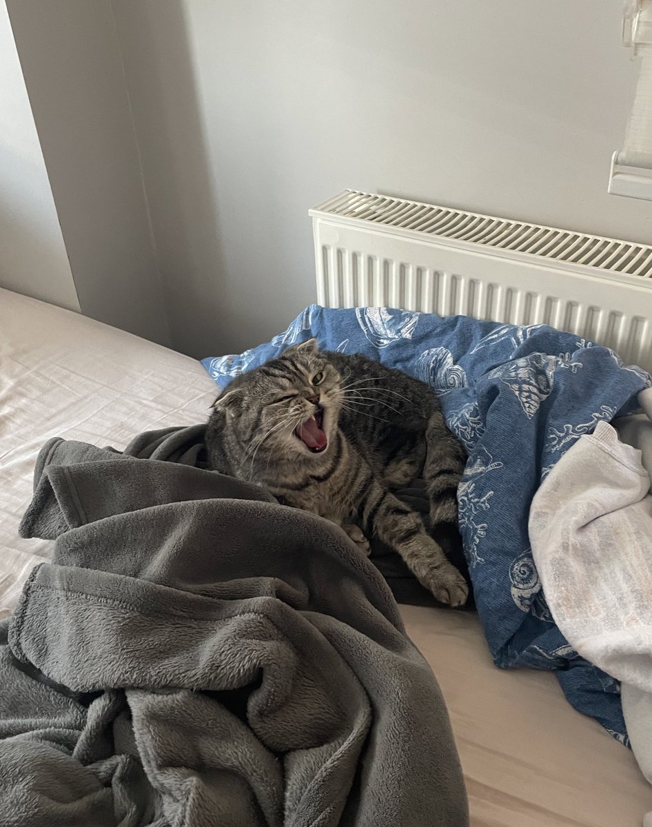 Gükrerken fotimi cekmislerr