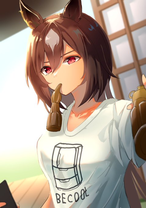 シリウスの私服が楽しみすぎる
#ウマ娘 