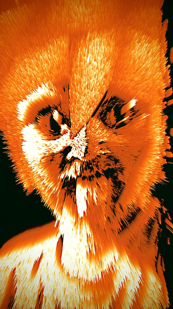 Absolutely Beautiful Coin Prophetess tweet media