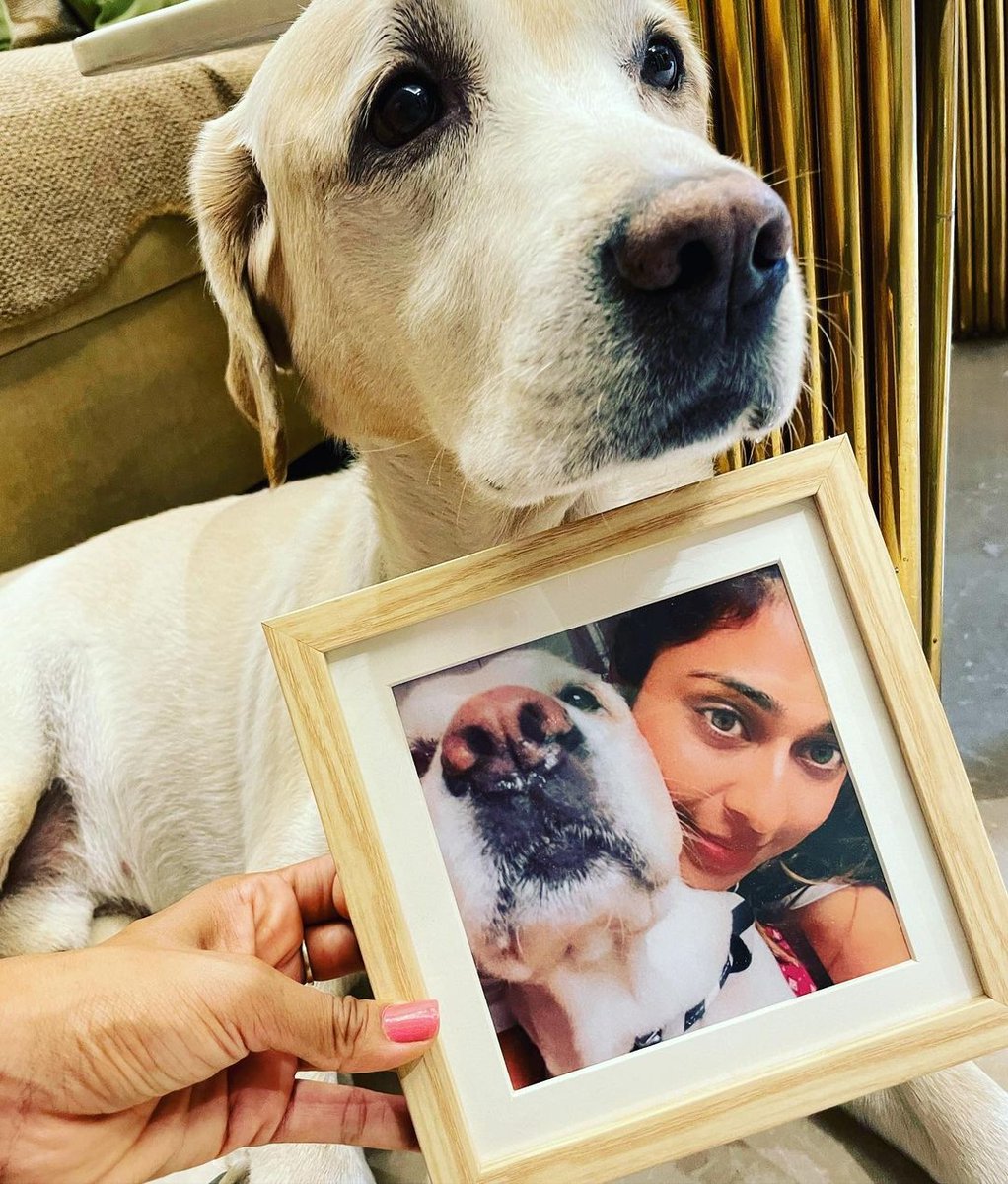 zoomin's tweet photo. Surprise a Dog Momma with a sweet memory. Gift her Framed Prints from Rs. 99 only.

Make most of the Summer Sale &amp; enjoy big savings!

https://t.co/gyK7rbn0Kb

#zoominstories #zoominfeed #decor #gift #walldecor #frames https://t.co/wCcOINYXNs
