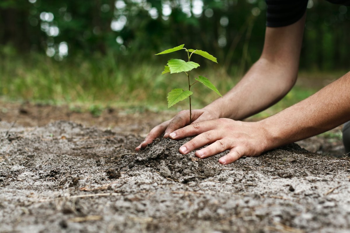 Nature_Kenya's tweet photo. @Nature_Kenya and @PrivatizationKe are once again partnering for a restoration exercise at the Thogoto forest block in Kereita forest on Friday 20, May.
#PCFiT #PartnershipsForSustainability https://t.co/PDq5RLXaQg