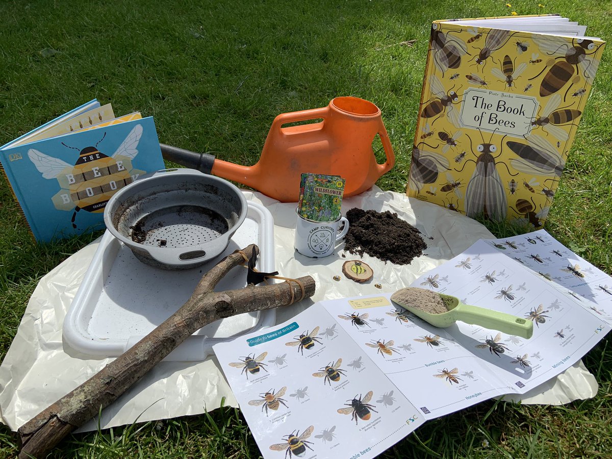 camp_curiosity's tweet photo. Any idea what we will be making this afternoon @KelsallSchool ? #beethechange #savethebees #plantforbees #beeday #outdoorlearning #climatechange #environmentaleducation #natureed #playistheway https://t.co/gaEPunrfUh