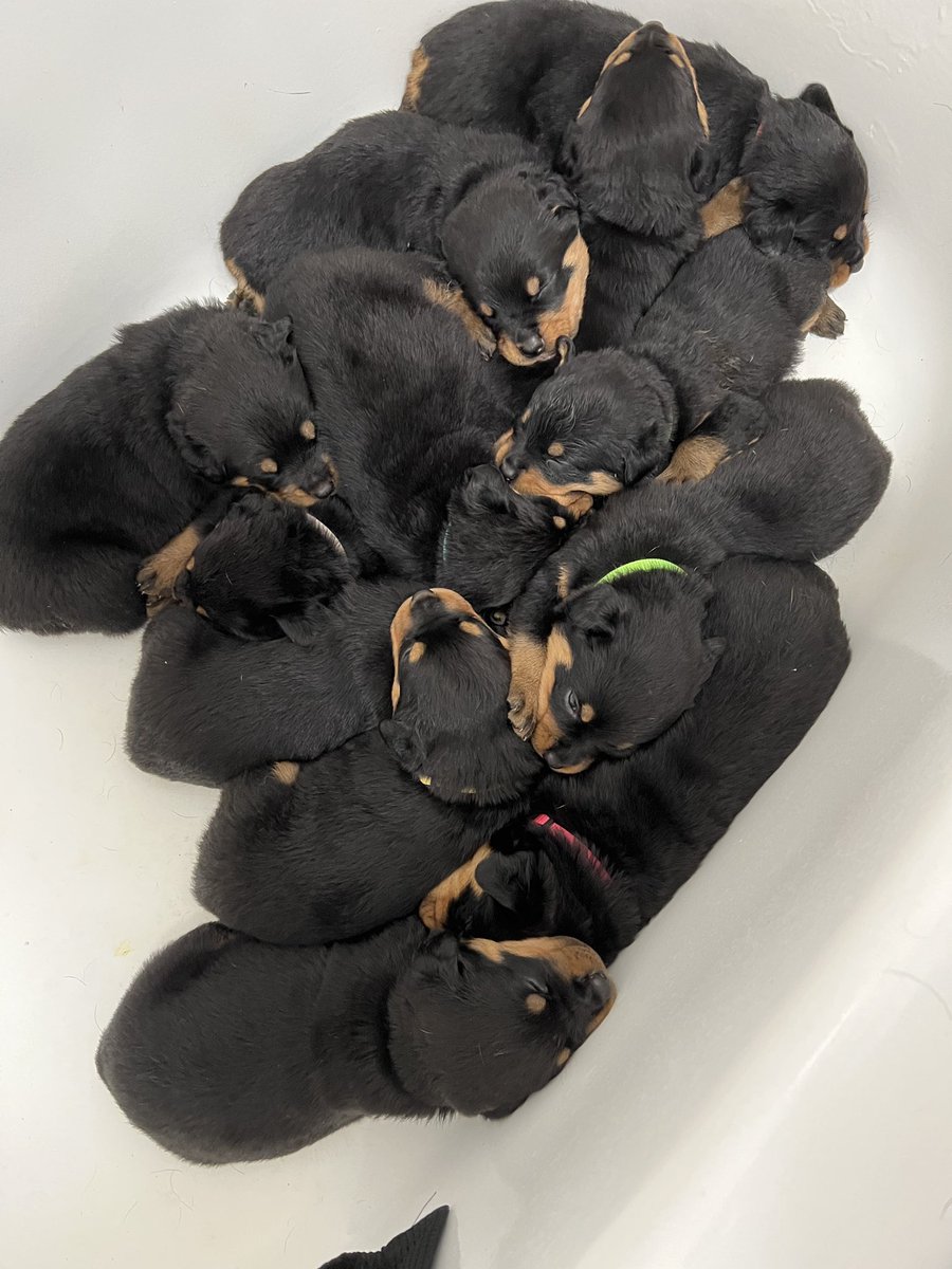 ONealShell's tweet image. 7 Boys &amp;amp; 5 Girls