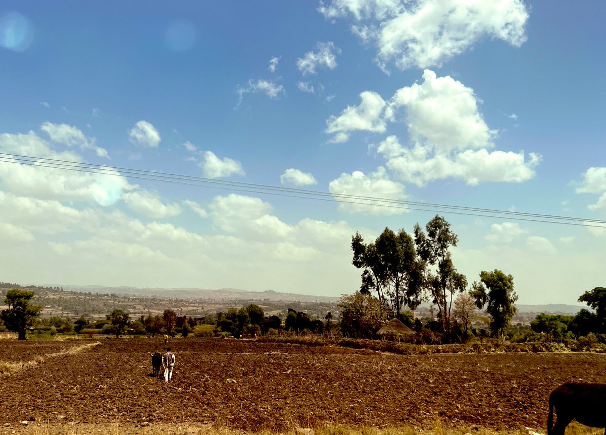 FatimaGohar786's tweet photo. After a very productive visit to Nigist Eleni Mohammed Memorial Hospital (#NEMM), on our way back to Addisaba, I was so happy to see the start of the #farming period. Just sharing a few glimpses … to convey my gratitude to nature and our resilient farmers! #Ethiopia https://t.co/bIeIGV2vs3