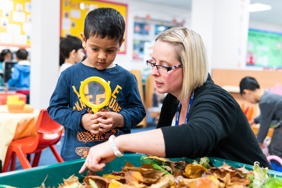 Star Teaching School Hub Network tweet media