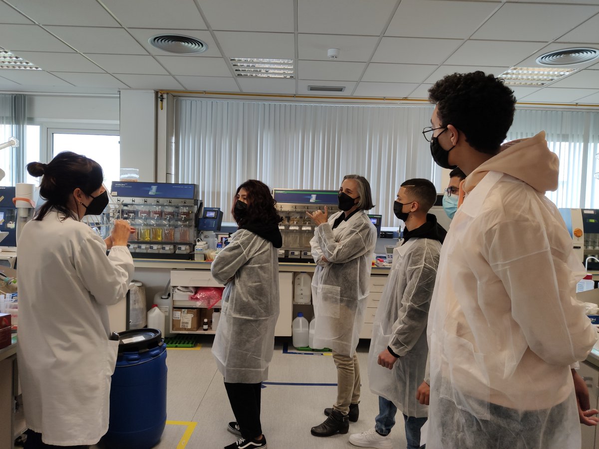 Planeta STEM tweet media