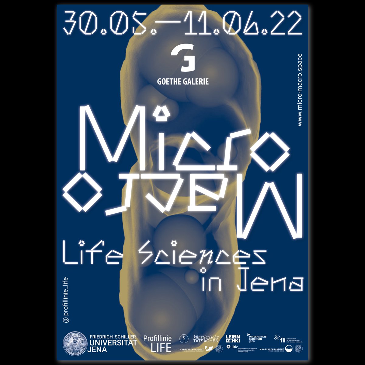 profillinie's tweet photo. Coming soon: 
MICRO MACRO - LIFE SCIENCES IN JENA
- the photo exhibition of the @profillinie LIFE in @goethegalerie!
🦠🧪🐜🔬
Come and dive into the world of science, from microbes to humans, from cells to ecosystems - the whole diversity of #lifesciences !

@UniJena @KTatsachen https://t.co/XUBoDbr4p0