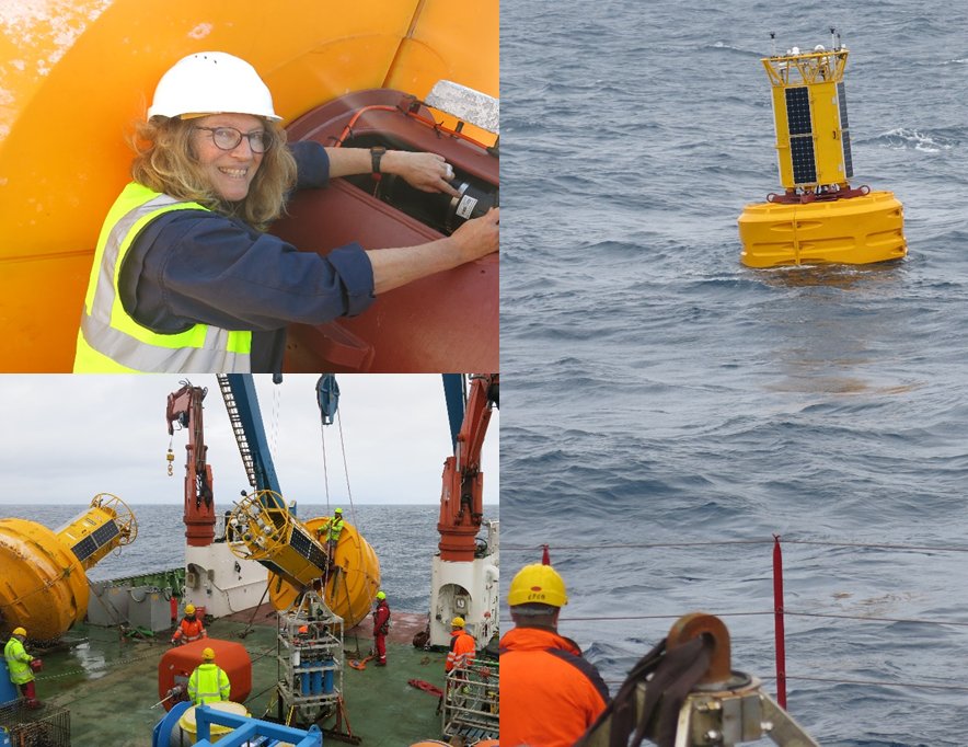 PAP Observatory tweet media