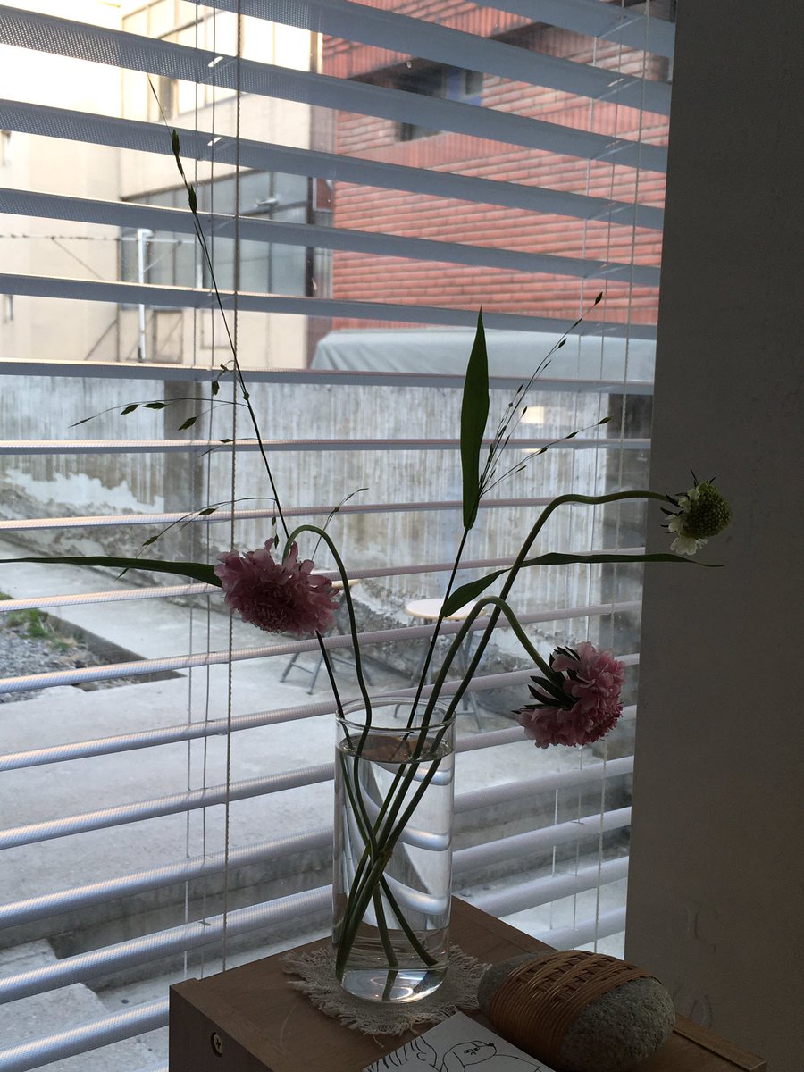 ㅎ ㅐ피 ㅋ ㅣ 펜지 💭