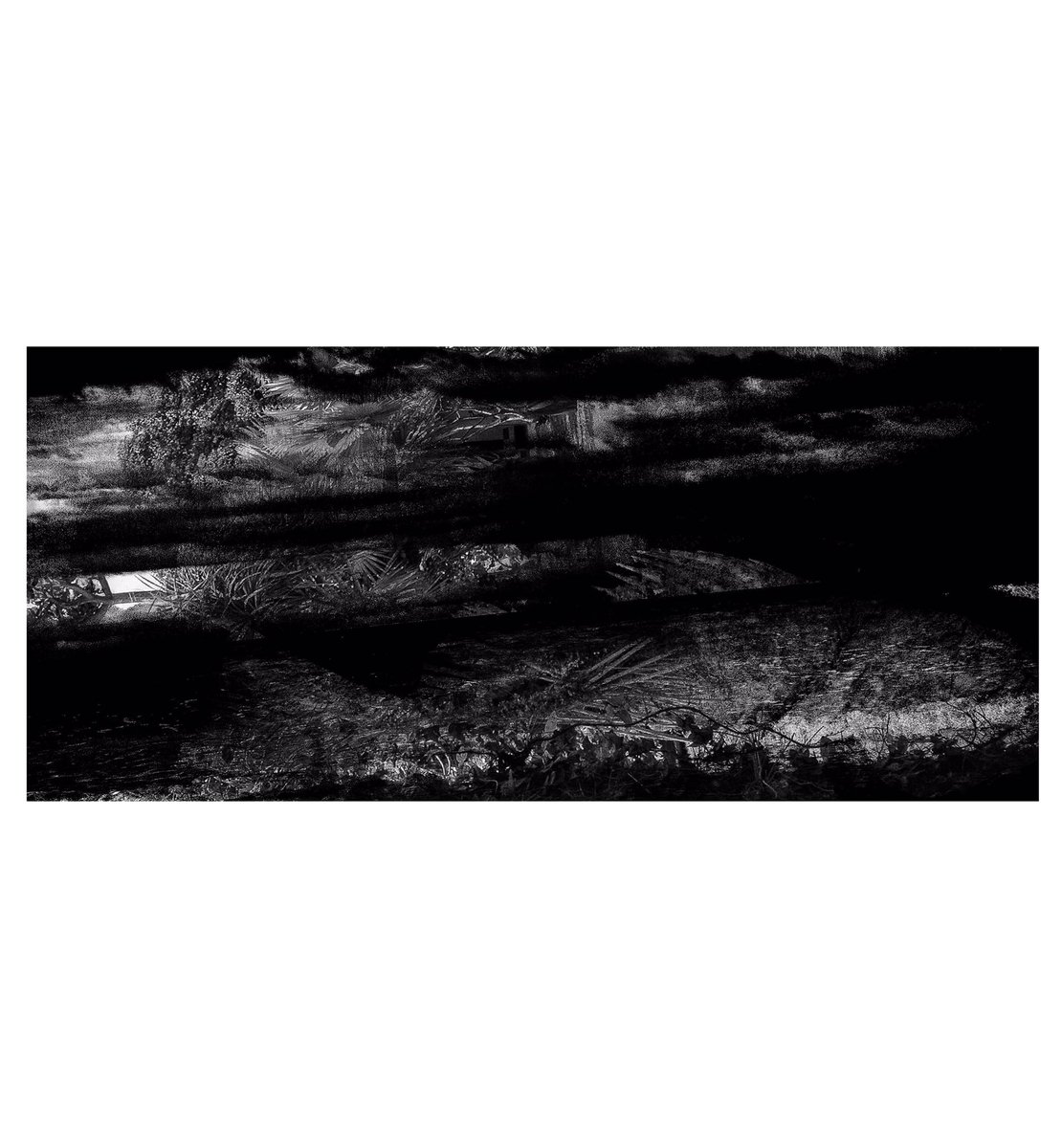 gotvshowtime's tweet photo. Three blades

#Monochrome #art https://t.co/sZMylRyX1k