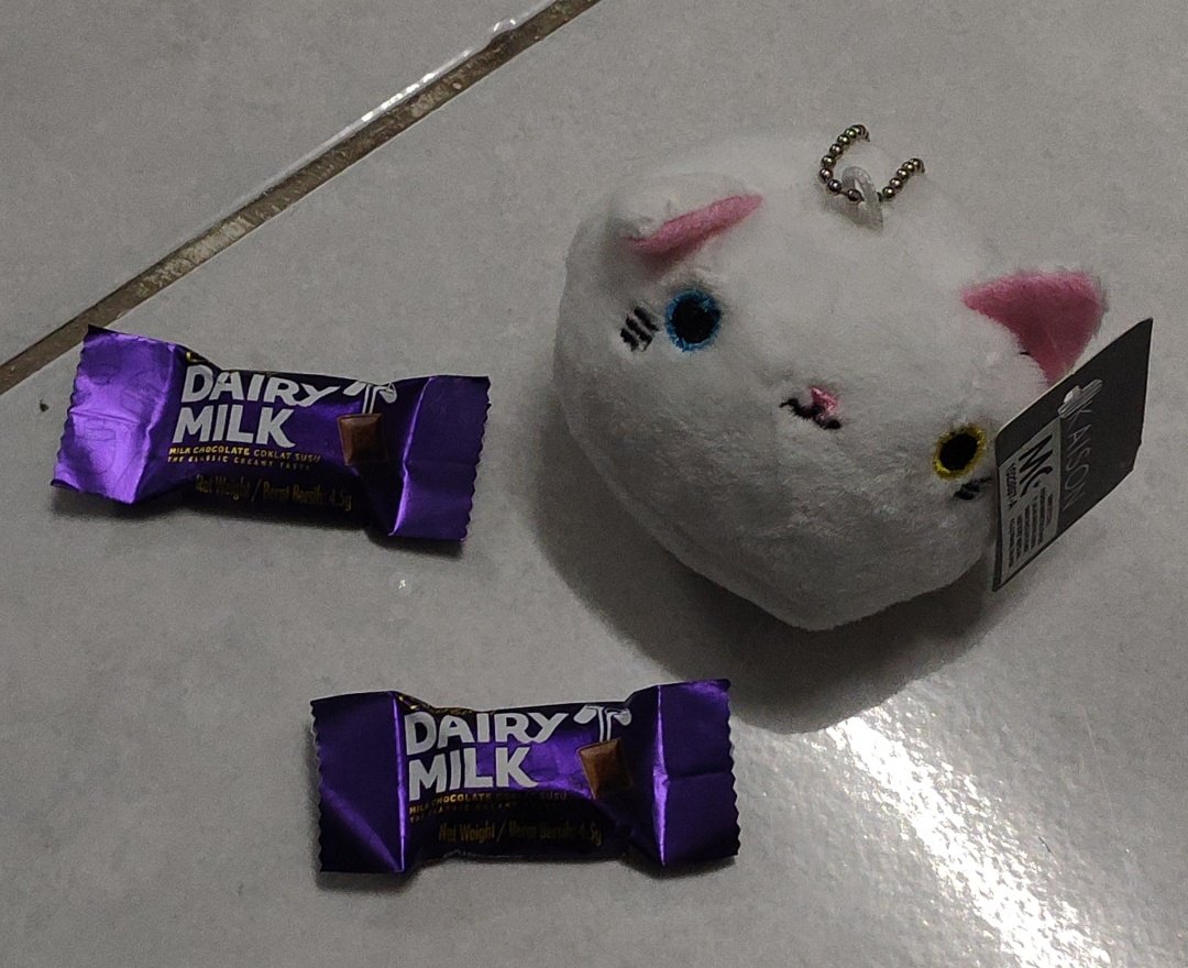 zeeavailable's tweet photo. Thank u so so much to the two people who gave me these adorable gifts! Ill take good care of this keychain (?) And the chocolates are tasty <33 https://t.co/qTbUPR7x9W