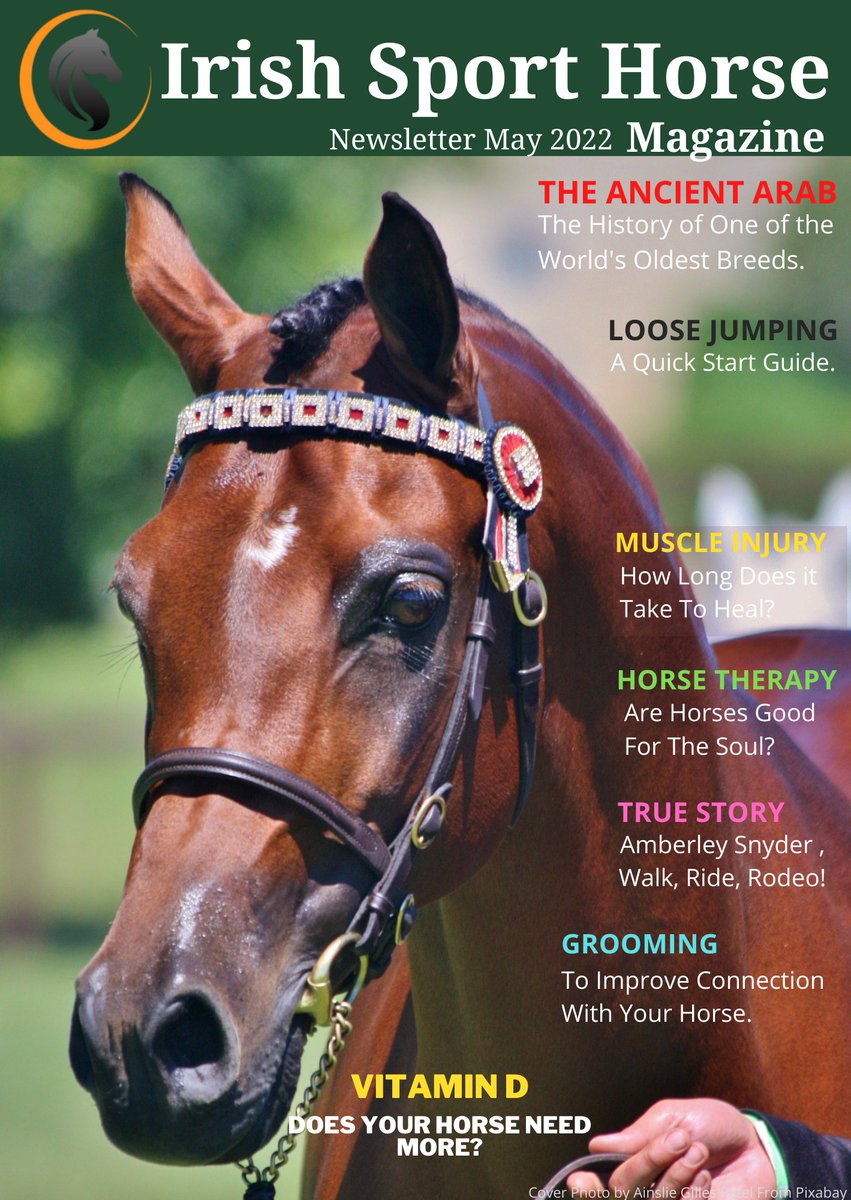 MagazineIrish's tweet image. Hey Everyone, Our May Issue of The Irish Sport Horse Magazine Newsletter is out now and available to read on our blog;-) irishsporthorsemagazine.com/magazine/
