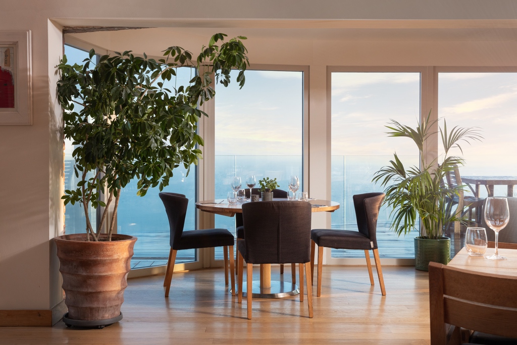 Lewinnick Lodge tweet media