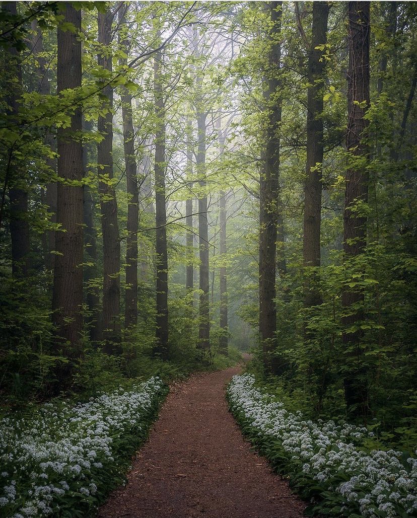 usul usul yürünesi..