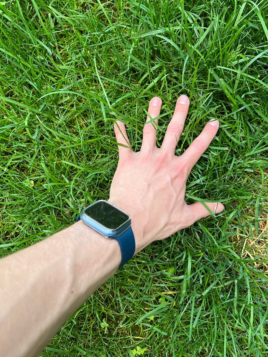 <a href="/pogdotearth/">Proof of Grass | POG.EARTH (草, 草)</a>