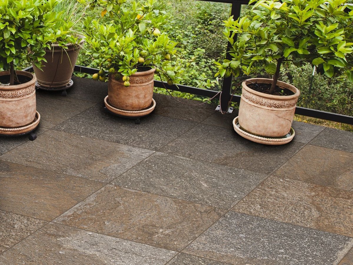 Forever Green 🌱From God And God Is The KING