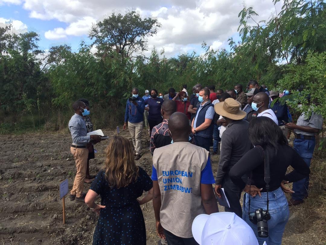 CAREZimbabwe's tweet photo. 1/3 Today, we are in Chiredzi touring the @ZRBFZIM #ECRASProject site with a delegation led by @MoLAFWRD_Zim and @CAREZimbabwe CD @pcsikana touring various #resilience building activities in Chiredzi.
@PlanZimbabwe
@ICRISAT
πΈ@nmcvivian https://t.co/TeV0wVpVxw