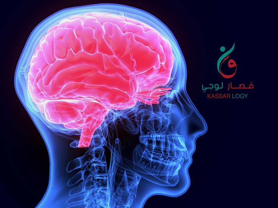 kassarlogy's tweet photo. إنّ الأذيّات الدماغيّة هي الحالات الوحيدة في طريقتنا العلاجيّة التي لا تعالج عن طريق الفقرات حيث أثبتت التجربة أنّ تدليك مسارات الأعصاب وفقاً للمخطط الذي وضعناه قد أعطى نتائج أقرب إلى الخيال... 
للمتابعة > عبر الرابط 
https://t.co/1VKNjVFC07 https://t.co/IEAUiuqFTC