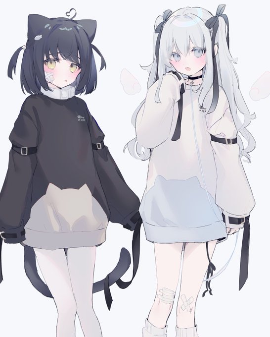 - ̗̀🐈‍⬛🤍 ̖́- 