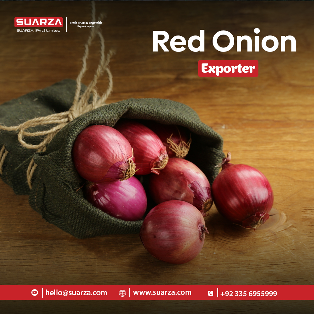 SUARZA on Twitter: SUARZA on Twitter: