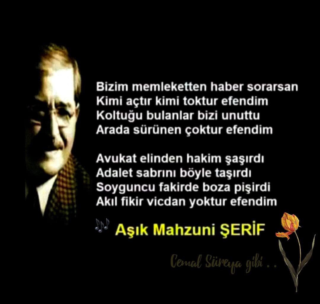 Intimcity Noginsk Qora porno aktyorlar