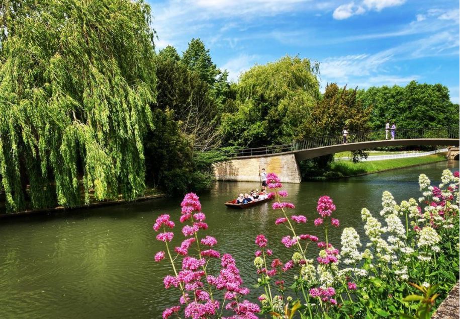 Perfect day to enjoy the view from the Fellows’ Garden @trinityhallcamb #summertime #river #cambridgecollege #summer2022 #Cambridge