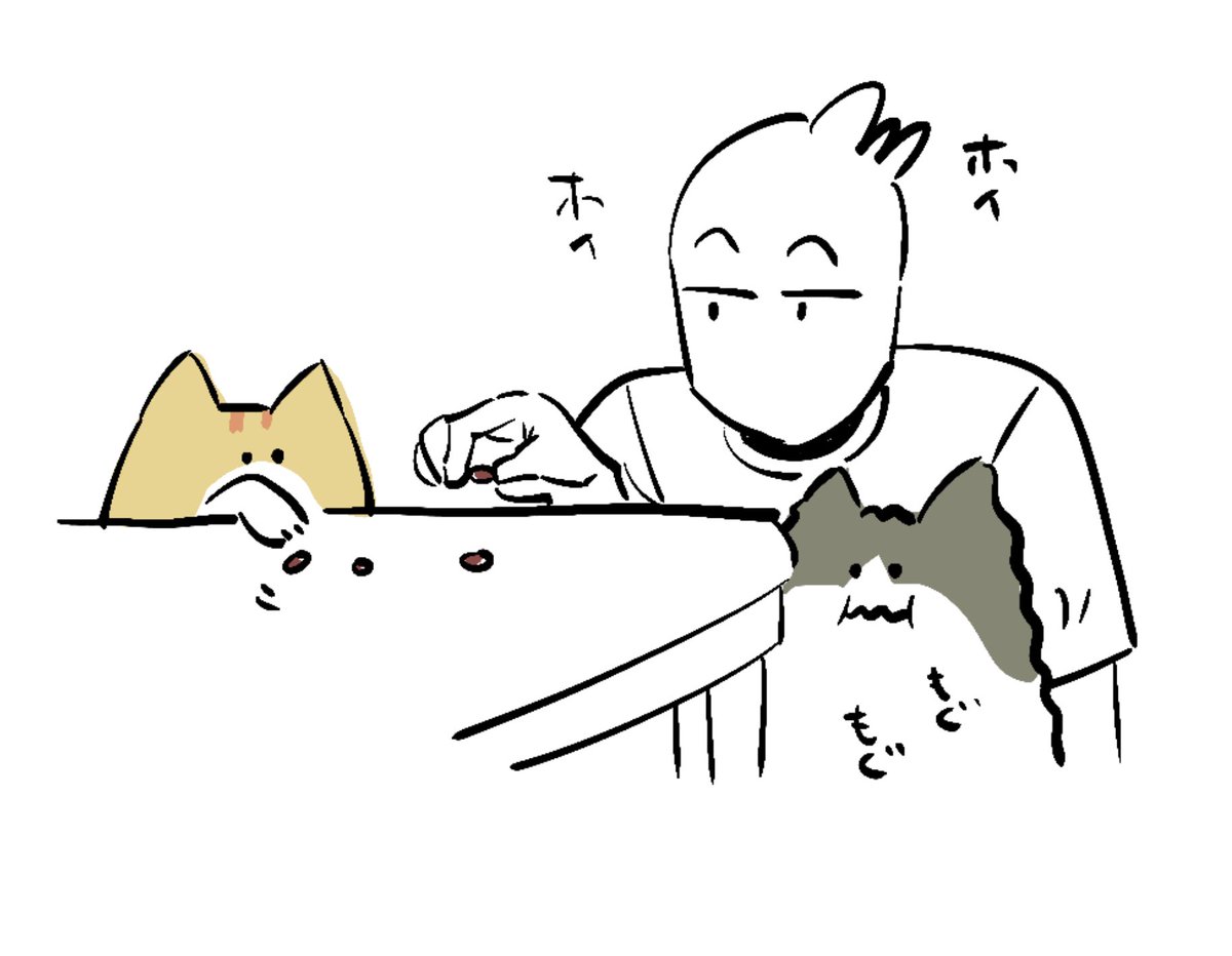 今日の雑日記です。いつもと違う特別感を求める猫 