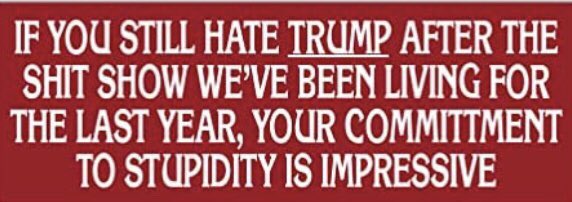 KiltyJeremy's tweet image. Biden voters👇