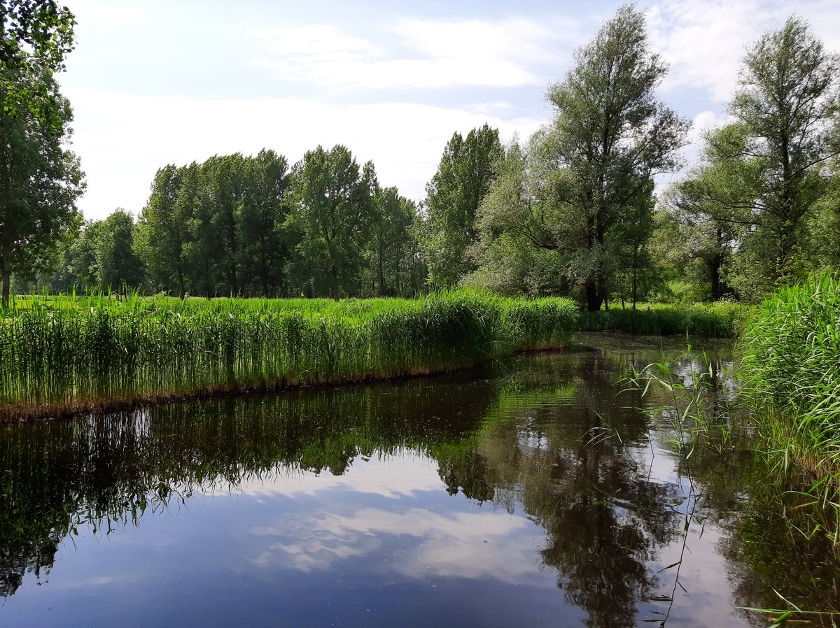 MEKloppenburg's tweet photo. Gewandeld in Park Hitland Zuid,  Capelle aan den IJssel.  #hitland #natuurgebiedhitland #nature #holland https://t.co/4fKy3xfOar