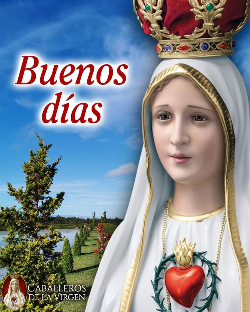 RuizHurtadoRE's tweet photo. Buenos Días!!
#Arrodillado pido a Ella, María Santísima, volvernos cada vez más los que –en la tormenta, en el aparente desorden, en la aflicción, en la quiebra aparente de todo lo que podría representar para nosotros la victoria-, siempre #Confiaron en la misericordia de Ella. https://t.co/O4YS5snHw3