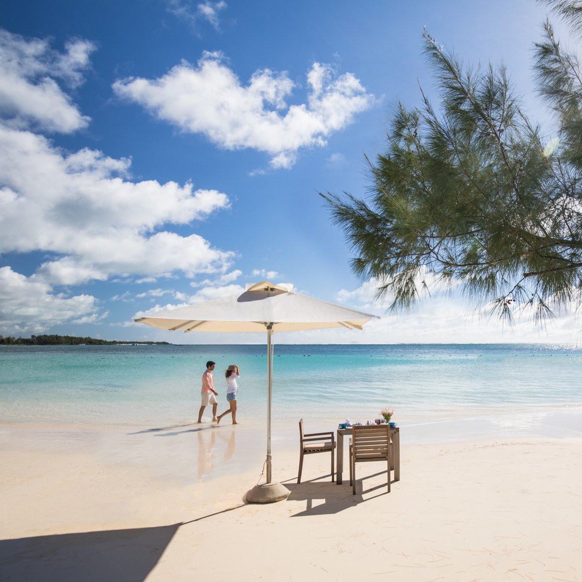 LUX* Resorts & Hotels (@luxresorts) on Twitter photo Coup de cœur assuré pour la plage emblématique du <a href="/LUXBelleMare/">LUX* Belle Mare</a>, notre hôtel à l'île Maurice. Située sur la côte est de l’île et aussi cliché que cela puisse paraître, cette plage est un rêve.
luxresorts.com/fr/maurice/hot…
#HôtelÎleMaurice #luxresorts #ilemaurice #hotels Coup de cœur assuré pour la plage emblématique du <a href="/LUXBelleMare/">LUX* Belle Mare</a>, notre hôtel à l'île Maurice. Située sur la côte est de l’île et aussi cliché que cela puisse paraître, cette plage est un rêve.
luxresorts.com/fr/maurice/hot…
#HôtelÎleMaurice #luxresorts #ilemaurice #hotels