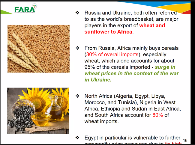 Snippets from a presentation by Dr. Yemi Akinbamijo, the Executive Director of FARA at the #GFARTalks webinar happening now.
Join the webinar through the link below:
bit.ly/3MlE6mF