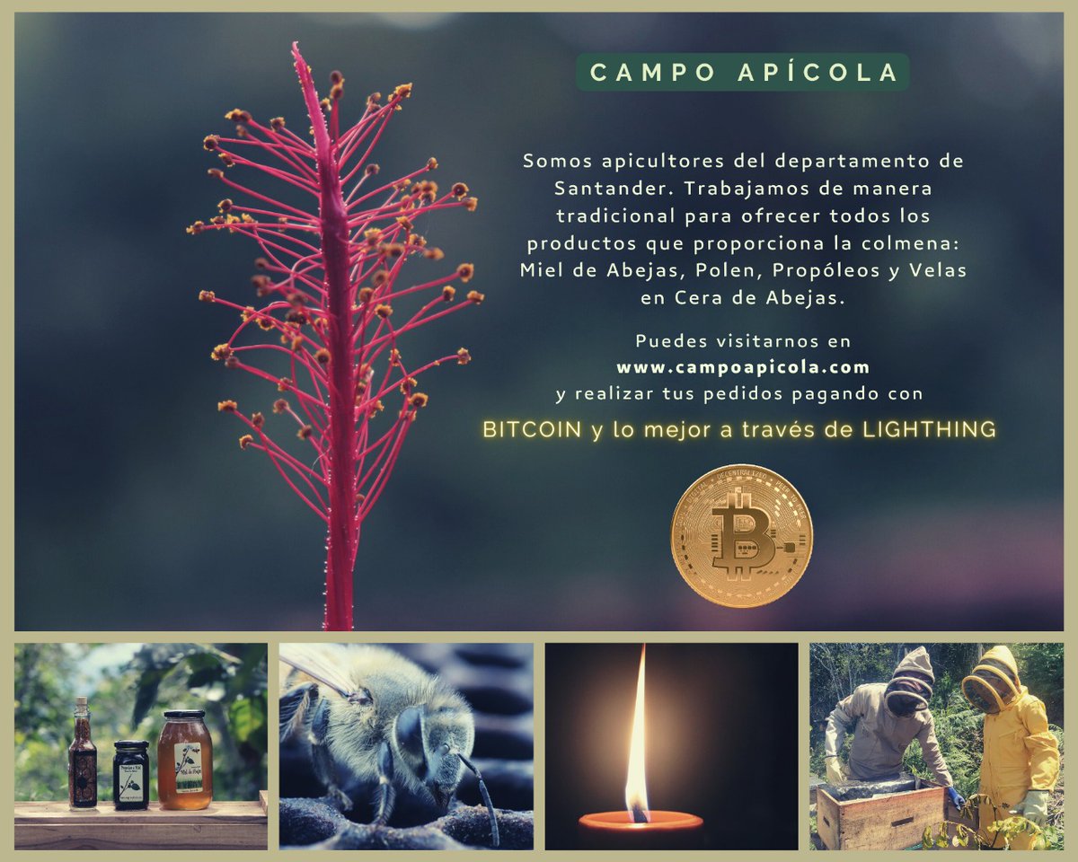 josebitcoiner's tweet photo. Hola chic@s voy a donar 5000 sats⚡️para 25 personas, es decir que a c/u le toca 200 sats, gracias @campoapicola
Por haber donado.

* LIKE✅
* FOLLOW✅ @campoapicola
* RETWEET✅
* TAG 5 FRIENDS✅
#Giveaway #satoshi  #LightningNetwork #bitcoin ⤵️ https://t.co/BEUeCGM9ly