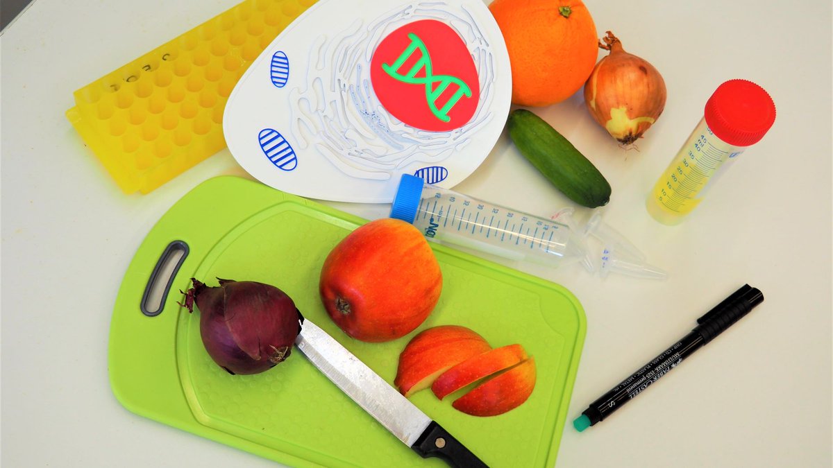 Otsuka Lab @ Max Perutz Labs Vienna tweet media