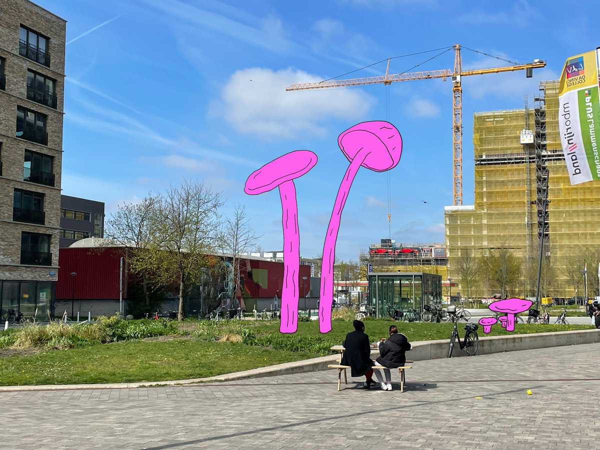 Lucas van Leyden Fonds tweet media