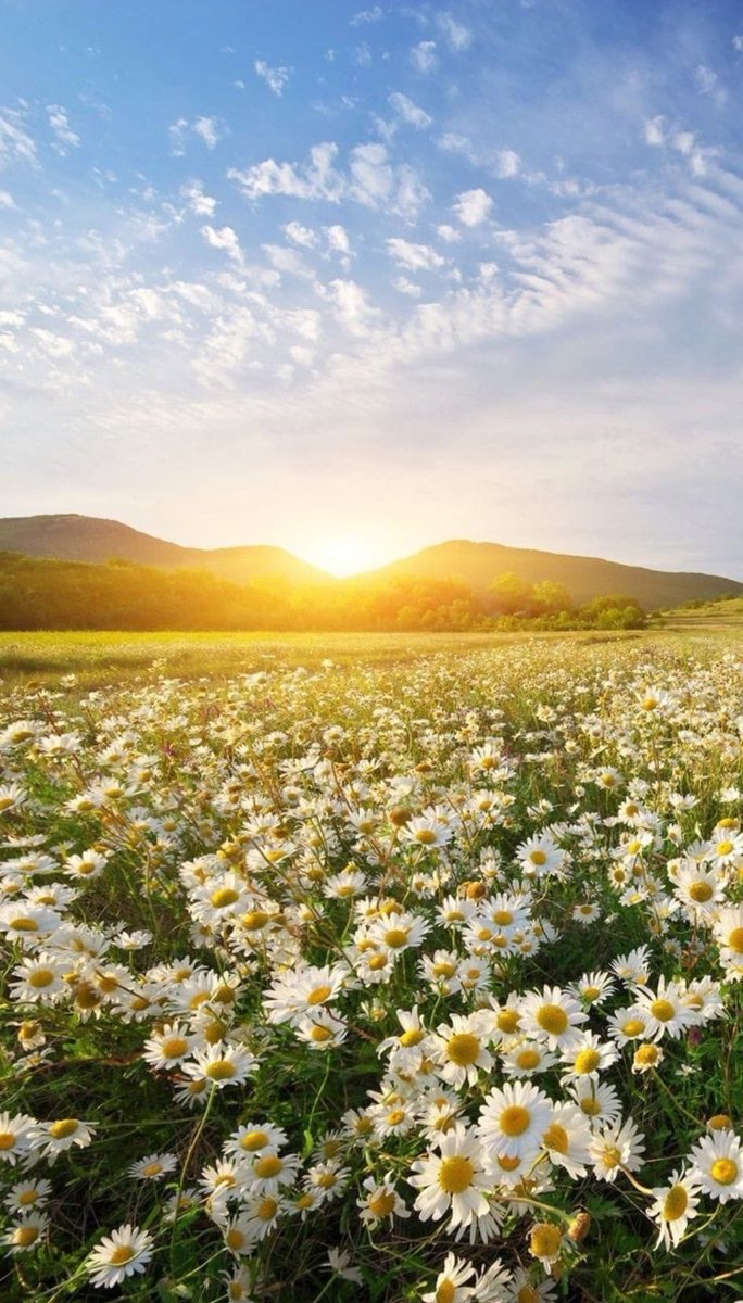 enphoart's tweet photo. Amazing!!!🌄🌤️ https://t.co/1pIzF2DALy