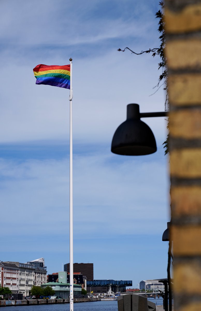 DanishMFA's tweet image. Regnbueflaget 🏳️‍🌈 vejrer over Udenrigsministeriet og på danske ambassader i dag. 17. maj er international dag mod homofobi, transfobi og bifobi (IDAHOT), og i dag markerer vi, at menneskerettigheder er for alle, uanset hvem du elsker. 

#IDAHOT #IDAHOT2022 #loveislove