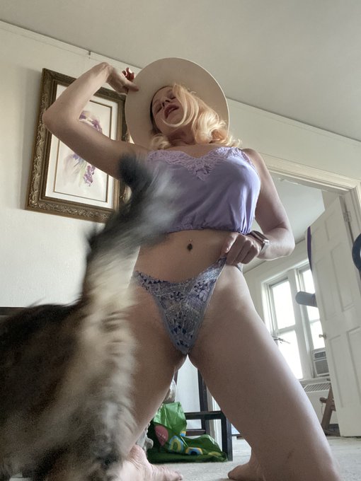 It&rsquo;s a full blown rodeo over here 🤠 https://t.co/BrIUIw3KpZ<a href="/tag/howdy"class="tags"><span>#howdy</span></a>