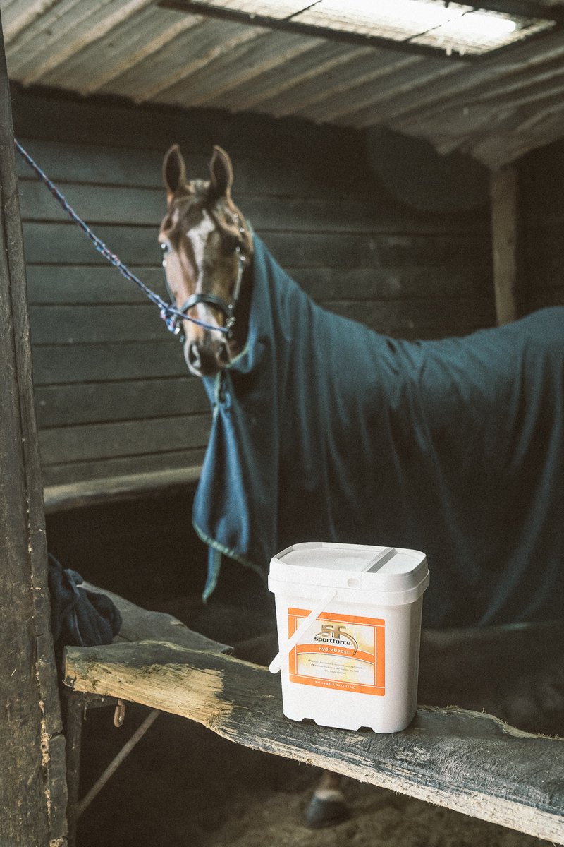 HallwayFeeds's tweet photo. Getting those electrolytes in with #HydraBoost! #FedByHallway
https://t.co/Pw0JTTJrY4 https://t.co/vo7rjpHDUN