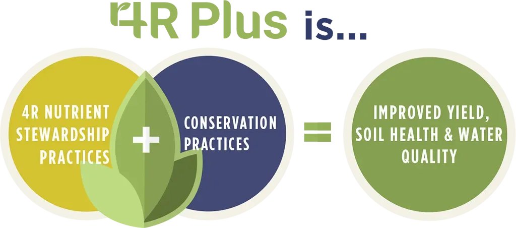 Growers_Edge's tweet photo. Have you heard of the @4RPlus program? Growers Edge is proud to support this program that informs farmers about the benefits of precise nutrient stewardship and conservation practices. #4rplus https://t.co/8NfjmIDMRA https://t.co/ovAF9KUSAg