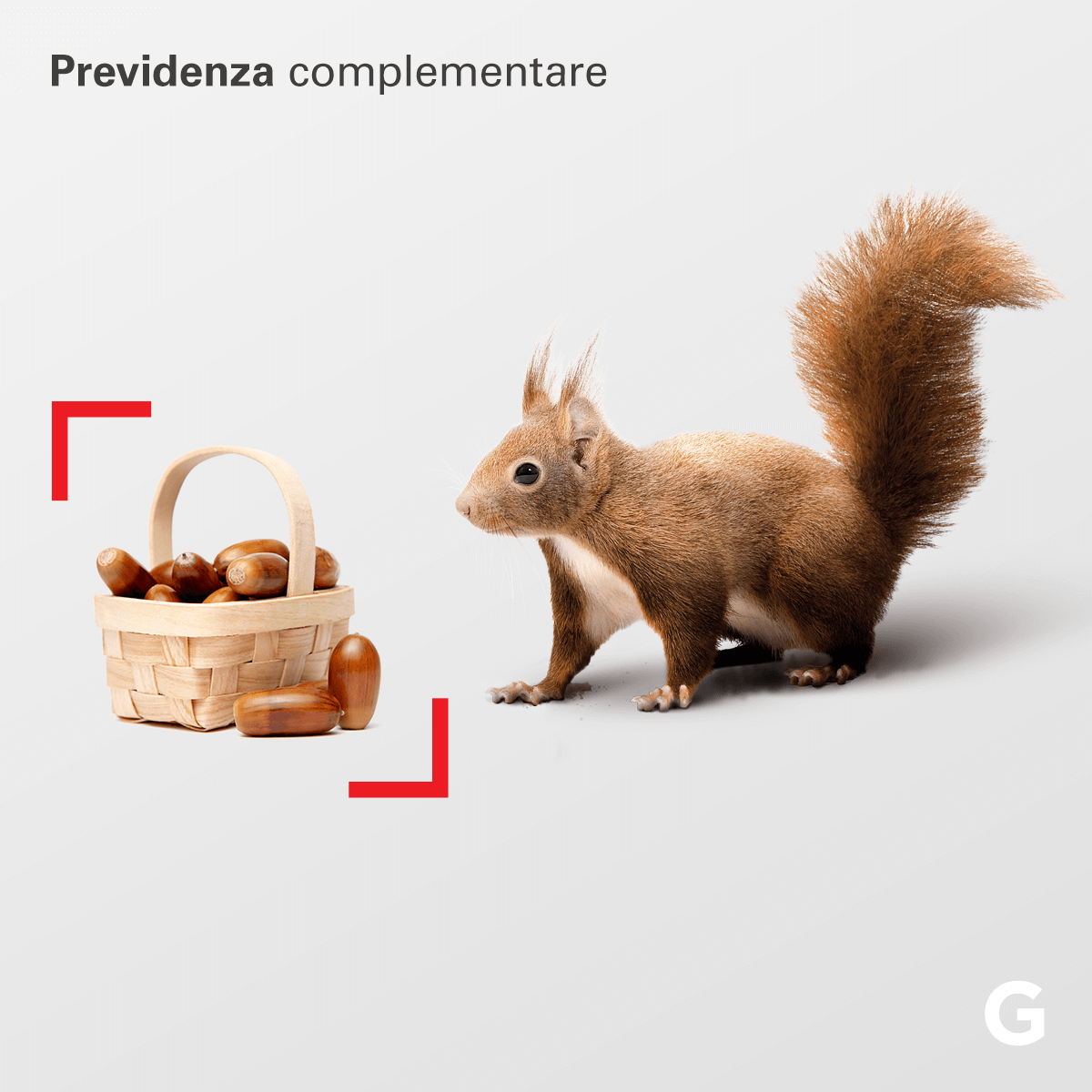 graffiti2000's tweet photo. "Da custode del denaro a custode delle relazioni". Il più importante gruppo bancario dell’Alto Adige ci ha affidato la riprogettazione del sistema relazionale col cliente: #website, #APP, #ADV, segnaletica, materiale informativo, vetrofanie.
Cliente: https://t.co/9TbUw1lC6n https://t.co/COEKy5RxsN