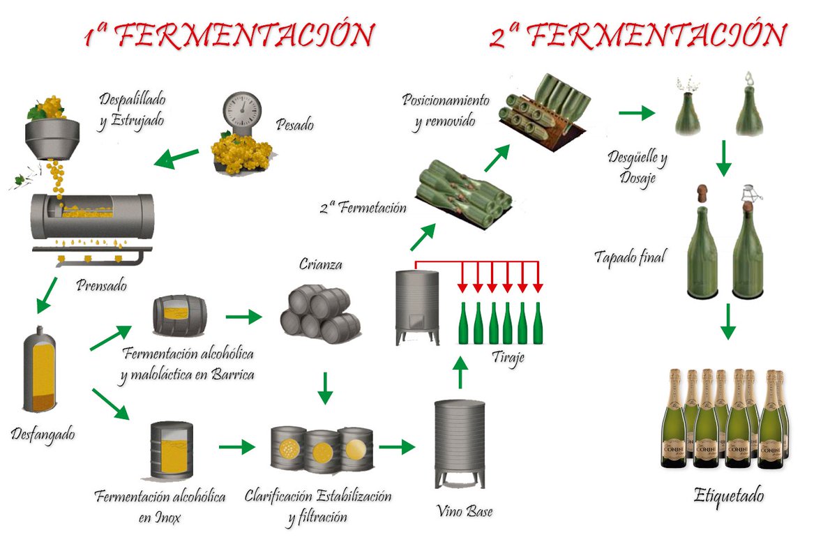Elaboración del vino espumoso